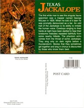 One(1) Texas(TX) Jackalope Rabbit Antlers Comical Humor Funny Vintage Postcard - £7.51 GBP