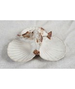 Handcrafted By JC Stonewear Sea Shell &amp; Fish Triple Platter Tray - $1,122.83 MXN