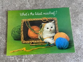 American Greeting Postcard What&#39;s the latest Mischief Kitten Card Vintage 1980&#39;s - £3.72 GBP