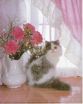 Never Framed 8 x 10 Wall Art Photo Print - Beautiful Persian Cat with Carnations - £5.59 GBP