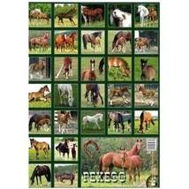 Memory Game Pexeso Horses, (Find the pair!), European Product - £4.95 GBP