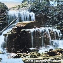 Livingston Manor Cat Tail Falls Postcard Vintage New York - $9.89