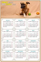 2023 Magnetic Calendar - Today is My Lucky Day - Dogs Themed 021 (8 x 5.25) - £7.81 GBP