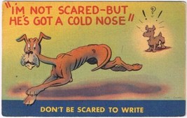 Postcard Comic Not Scared He&#39;s Got A Cold Nose Write - £3.09 GBP