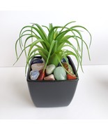 Faux Air Plant with Natural Polished Stones in Planter, Tumbled Rocks, A... - £11.98 GBP