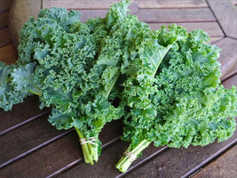 Yuga89 Store Kale Lettuce  15 Vegetable Seeds - $4.98
