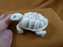 TURT-w48 little white Tortoise Turtle shed ANTLER figurine Bali detailed carving - £79.27 GBP