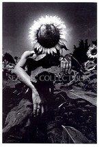1980s Eikoh Hosoe Duotone Print Sunflower Nudes Plate 9 - £19.97 GBP