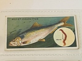 WD HO Wills Cigarettes Tobacco Trading Card 1910 Fish &amp; Bait Lure Shad #... - $19.69