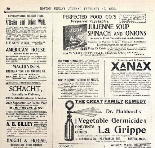 Primary image for Full Page Advertisements 1899 Victorian Boston Massachusetts Companies #4 DWEE4