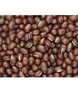 50 Adzuki Bean Aduki Red Bean Maroon Phaseolus Angularis Legume Vegetabl... - $8.60