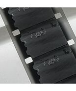 16mm Film Sam Houston State Bearkats / Stephen F Austin University 1961 ... - $53.74 CAD