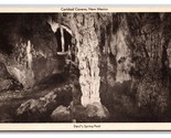 Devil&#39;s Spring Pool Carlsbad Caverns New Mexico NM UNP WB Postcard N25 - $3.91