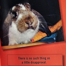 Disapproving Rabbits Sharon Stiteler 2007 Cute Animal Humor Pictures Gift Book image 5