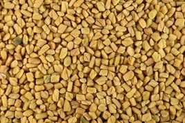 Fenugreek 50 Seeds Heirloom Herb Culinary &amp; Medicinal Herb Fresh - £9.76 GBP