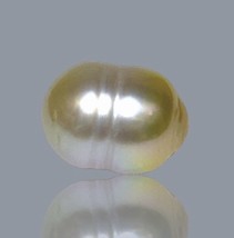 Baroque 11.4 x 15.2mm 15.8 Carats Natural Gold Australian South Sea Pear... - $84.14