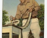 Ross Allen Milking Florida Diamond Back Rattlesnake for Venom Linen Post... - $9.90