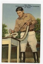 Ross Allen Milking Florida Diamond Back Rattlesnake for Venom Linen Post... - $9.90