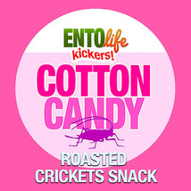 Mini-Kickers Cotton Candy Flavored Cricket Snack - $5.95