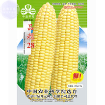 USA SELLER Pin Nuo 28 Bright Yellow Corn High Yield 200Grams Strong Glutinous St - £27.47 GBP