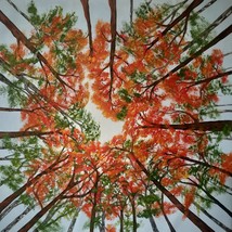 Autumn Forest Original Painting, 27X27&quot;, Scenery Wall Decor, Acrylic on ... - £159.87 GBP