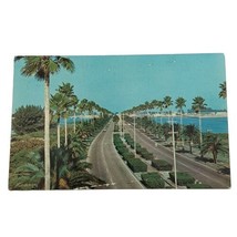 Clearwater Beach FL Florida Memorial Causeway Bridge 1950s Vtg Postcard  - £2.38 GBP