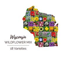 Wildflower WISCONSIN State Flower Mix Perennials Annuals USA 1000 Seeds - £7.36 GBP