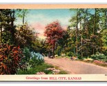 Generic Scenic Greetings Country Road Hill City Kansas KS LInen Postcard... - $3.97