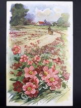 Pink Floral Flower Vintage Postcard 1911 Field Road Barn Antique - £7.86 GBP