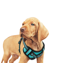 GOOPAWS Padded Reflective Dog Harness, Easy Control Lightweight Dog Harness - $25.95