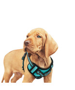 GOOPAWS Padded Reflective Dog Harness, Easy Control Lightweight Dog Harness - $25.95