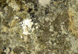 WIDENMANNITE - Uranus Mine, Saxony, GERMANY - €103,20 EUR
