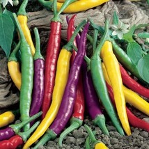 Mixed Colorful Hot Colorful Pod Pepper Chili, new hot ornamental vegetables high - £8.61 GBP