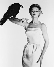 Alfred Hitchcock The Birds Tippi Hedron 8x10 HD Aluminum Wall Art - £31.96 GBP