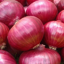 SH Red Grano Onion Seeds   200 Seeds   Heirloom    - £2.97 GBP