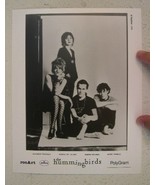 The Hummingbirds Press Kit photo - $499.57 MXN