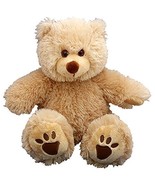PERSONAL Recordable Plush 15 Talking Teddy Bear by Teddy Mountain NY - $37.49 CAD