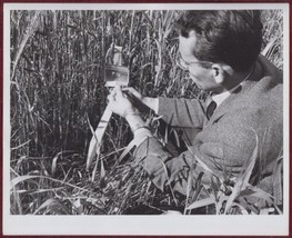 1960 Original Press Photo Jean Voegele Meknes Biology Laboratory School Research - £19.39 GBP