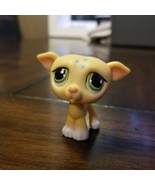 Littlest Pet Shop LPS # 875 Yellow Teardrop Greyhound Green Eyes - $9.30 CAD