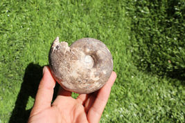 Item image 13