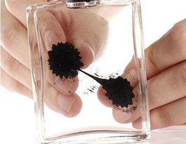 Amazing Ferrofluid Magnetic Display in a Bottle, Ferrofluid Magnetic Liq... - $310.34 MXN