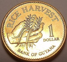 Gem Unc Guyana 1996 Dollar~Only Year Minted~Rice Harvest - £3.27 GBP