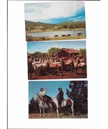 Western~Plastichrome~Cowgirls~Horses &amp; Cattle~Vtg PC-02 - $92.27 MXN