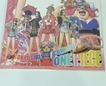Girls VS Guys One Piece HZ2-040 Double-sided Art Size A4 8&quot; x 11&quot; Waifu ... - $39.59