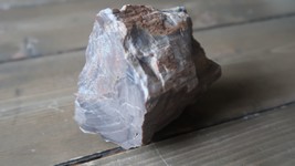 Petrified Wood Paperweight 3 x 2.5 x 2 inches - $14.70