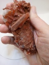 Red Hematite Quartz Crystal Cluster from Brazil, Mineral Specimen  FREE ... - £31.58 GBP