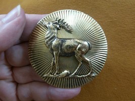 (b-elk-7) Deer buck elk hunting lover round textured brass pin pendant brooch - £17.17 GBP