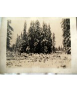 WWI U.S. Signal Corps Woods Near Barracks Woods Russian Empire 1914-18  - $35.48 CAD