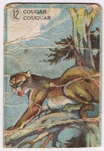 Cowan Co Toronto Animal Card # 12 Cougar Coupon Removed - £2.28 GBP