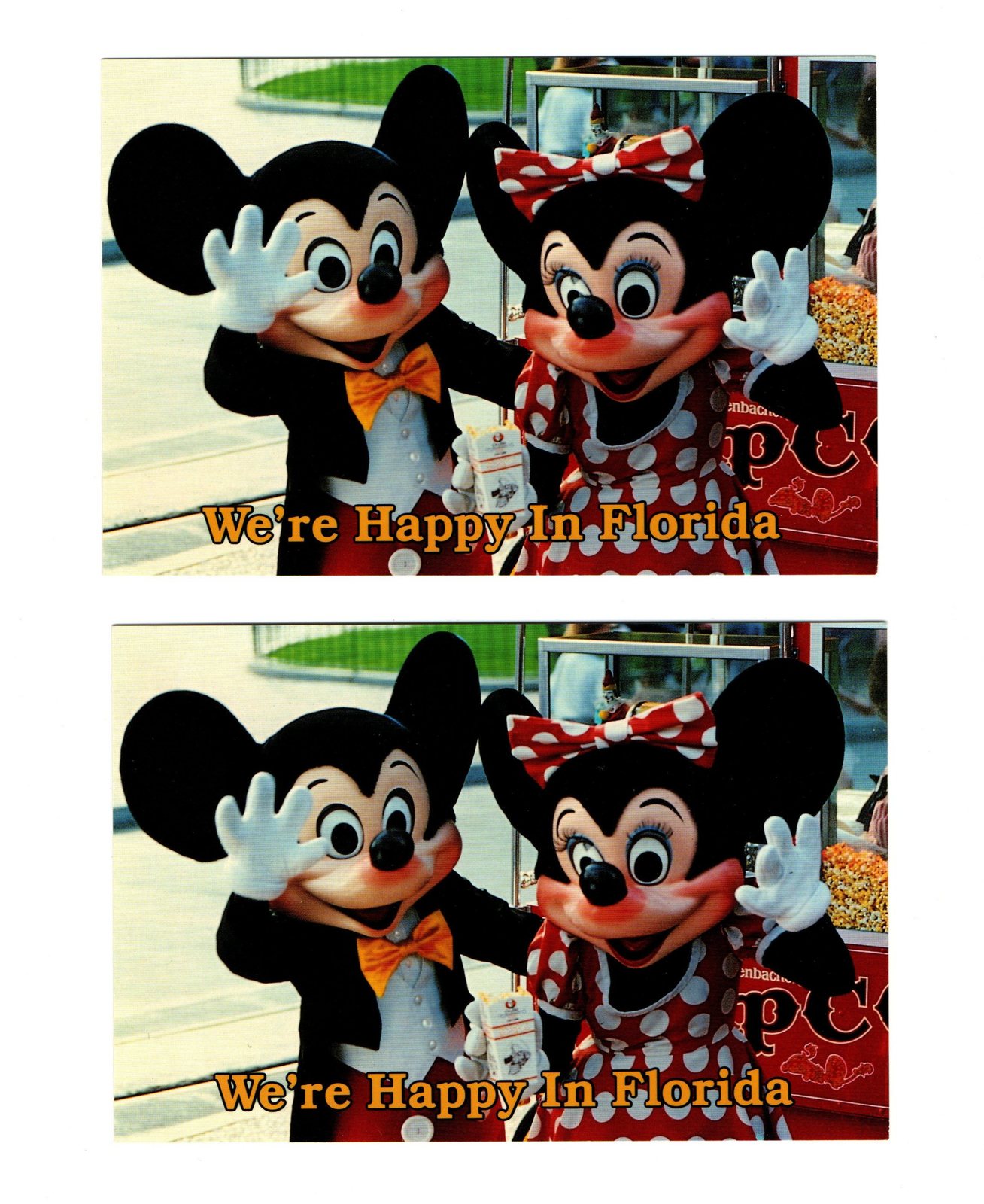 The Walt Disney Company Vintage Mickey Minnie Mouse Post Card Happy In Florida